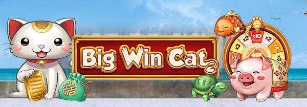 Big Win Cat från Play'N GO