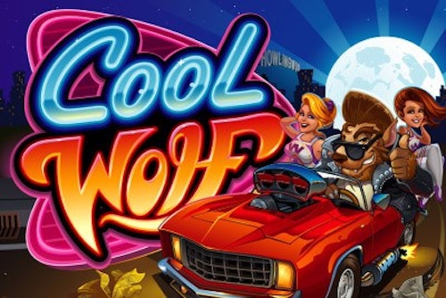 Cool Wolf