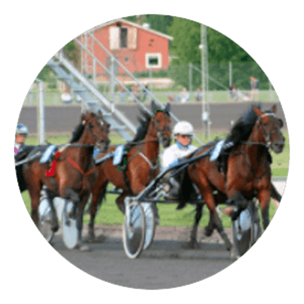 Legolas Bet - Spela på hästar & trav