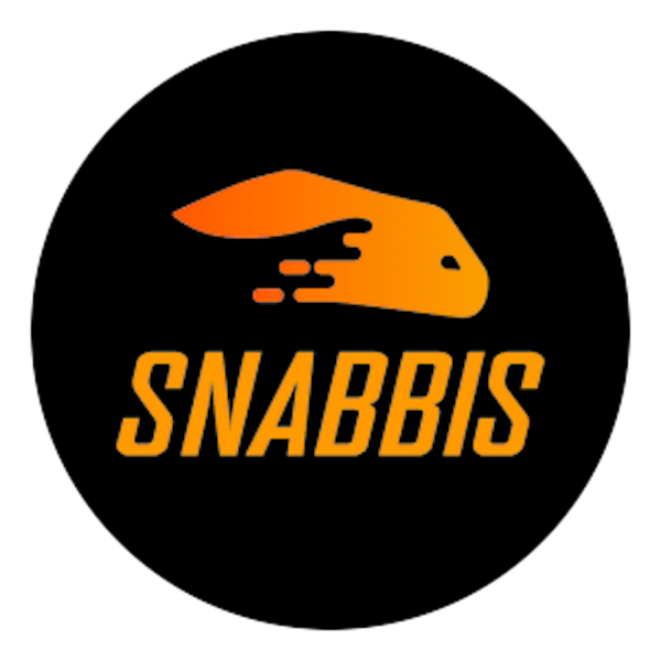 Snabbis Casino