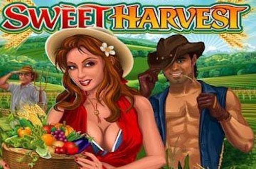 Sweet Harvest