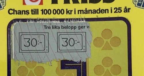 Bröderna vann en halv miljon